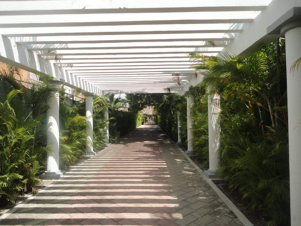 DSC09705