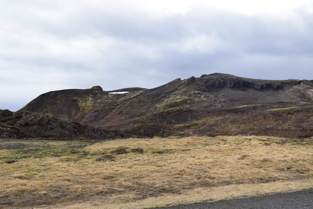 DSC_0558