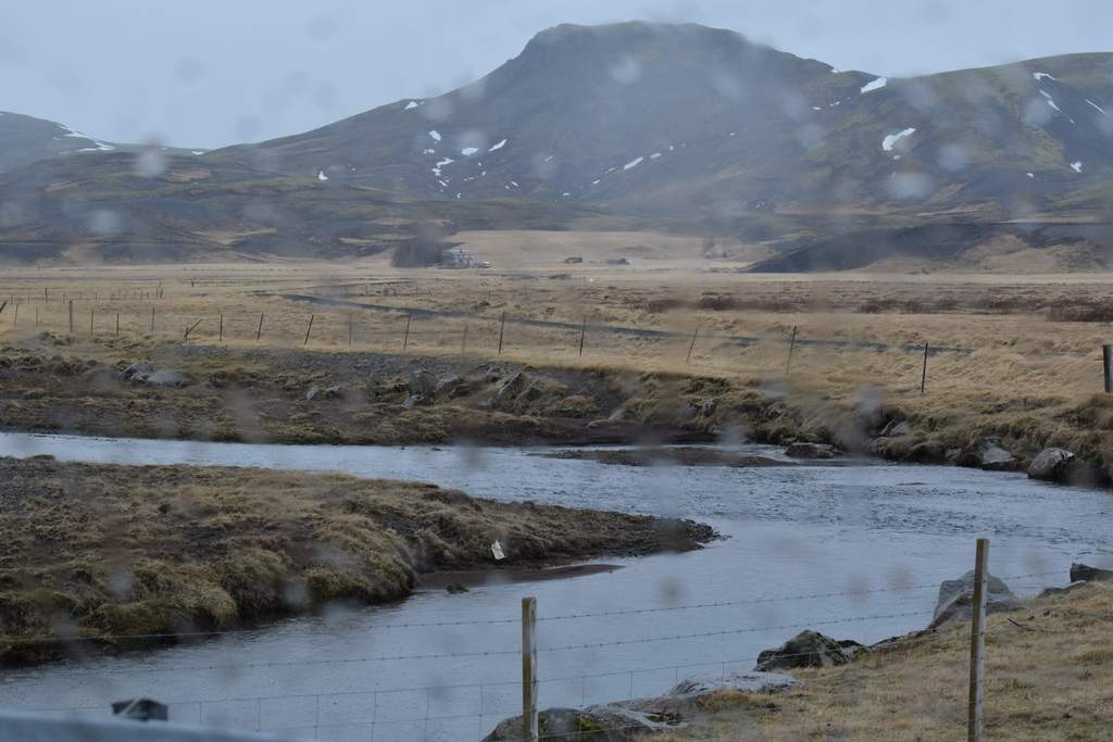 DSC_0581
