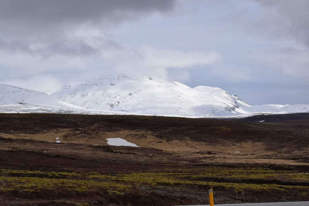 DSC_1061