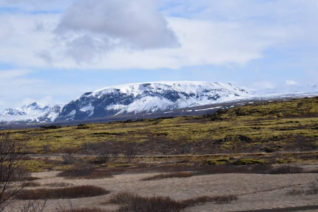 DSC_1178