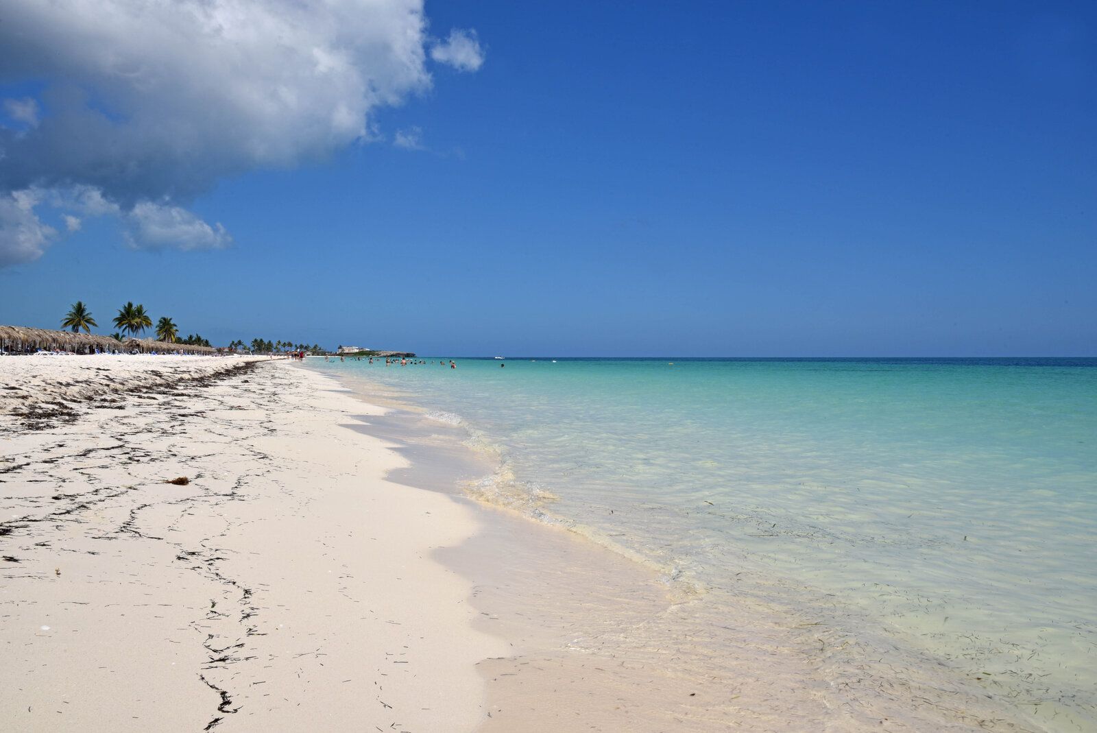DSC_1209.jpg