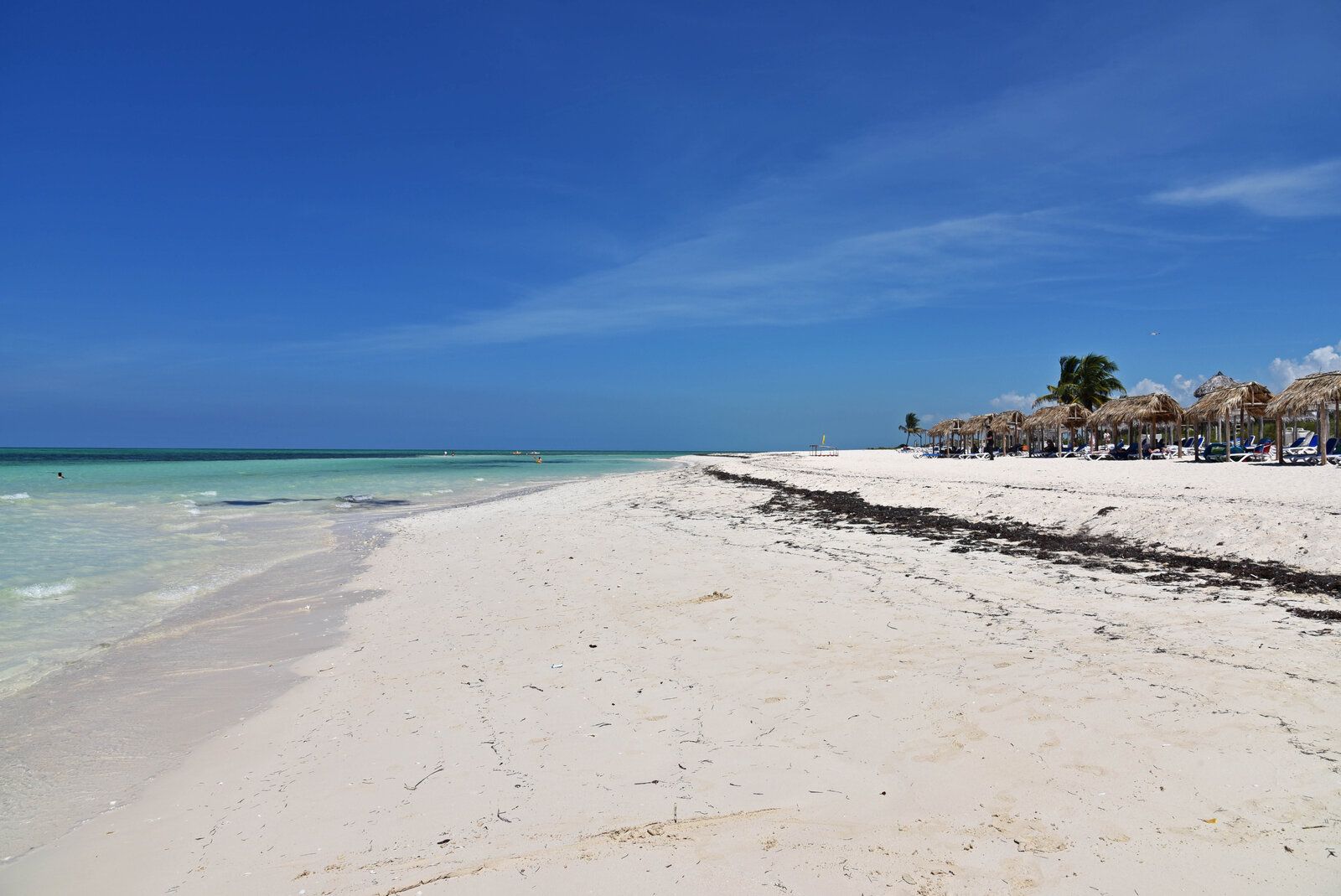 DSC_1236.jpg