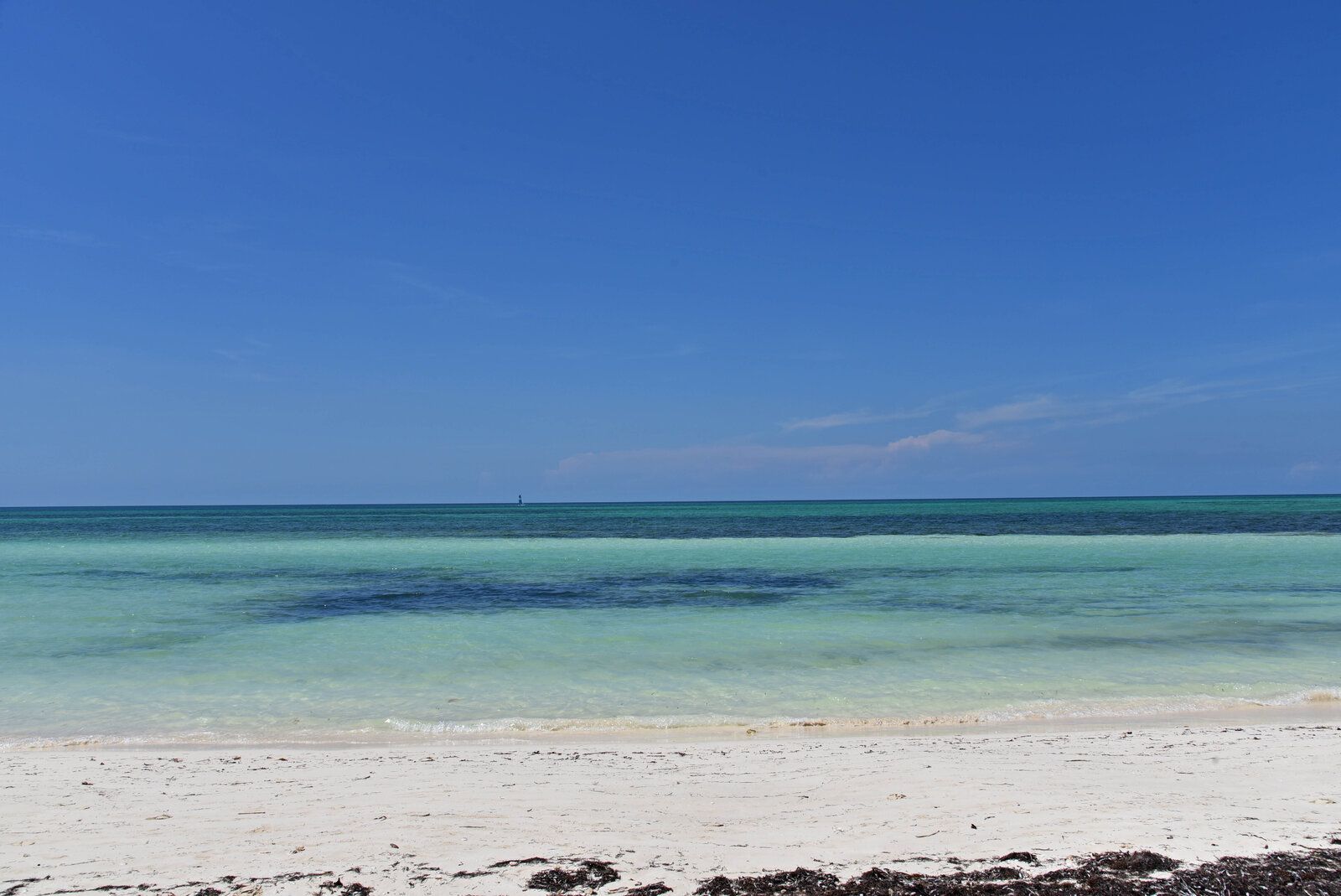 DSC_1240.jpg