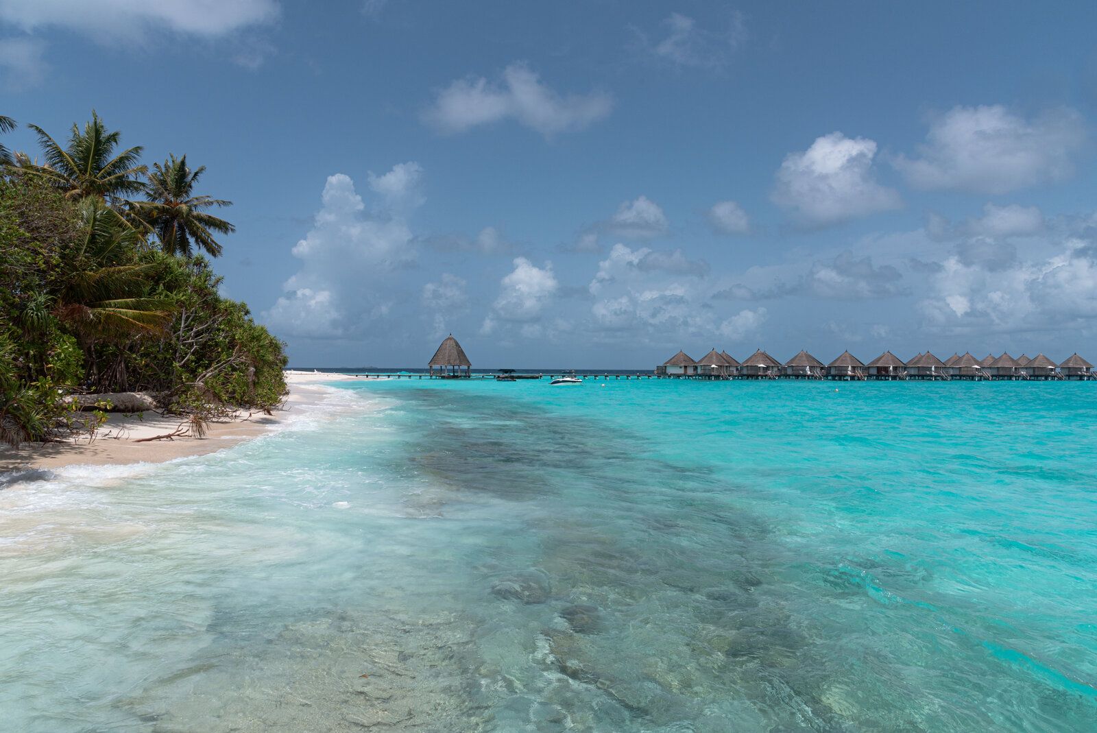 DSC_1242.jpg
