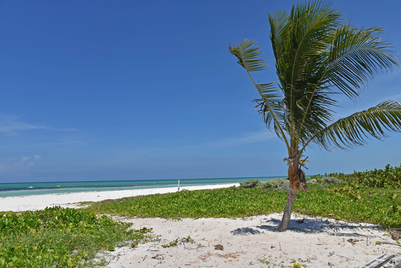 DSC_1245.jpg