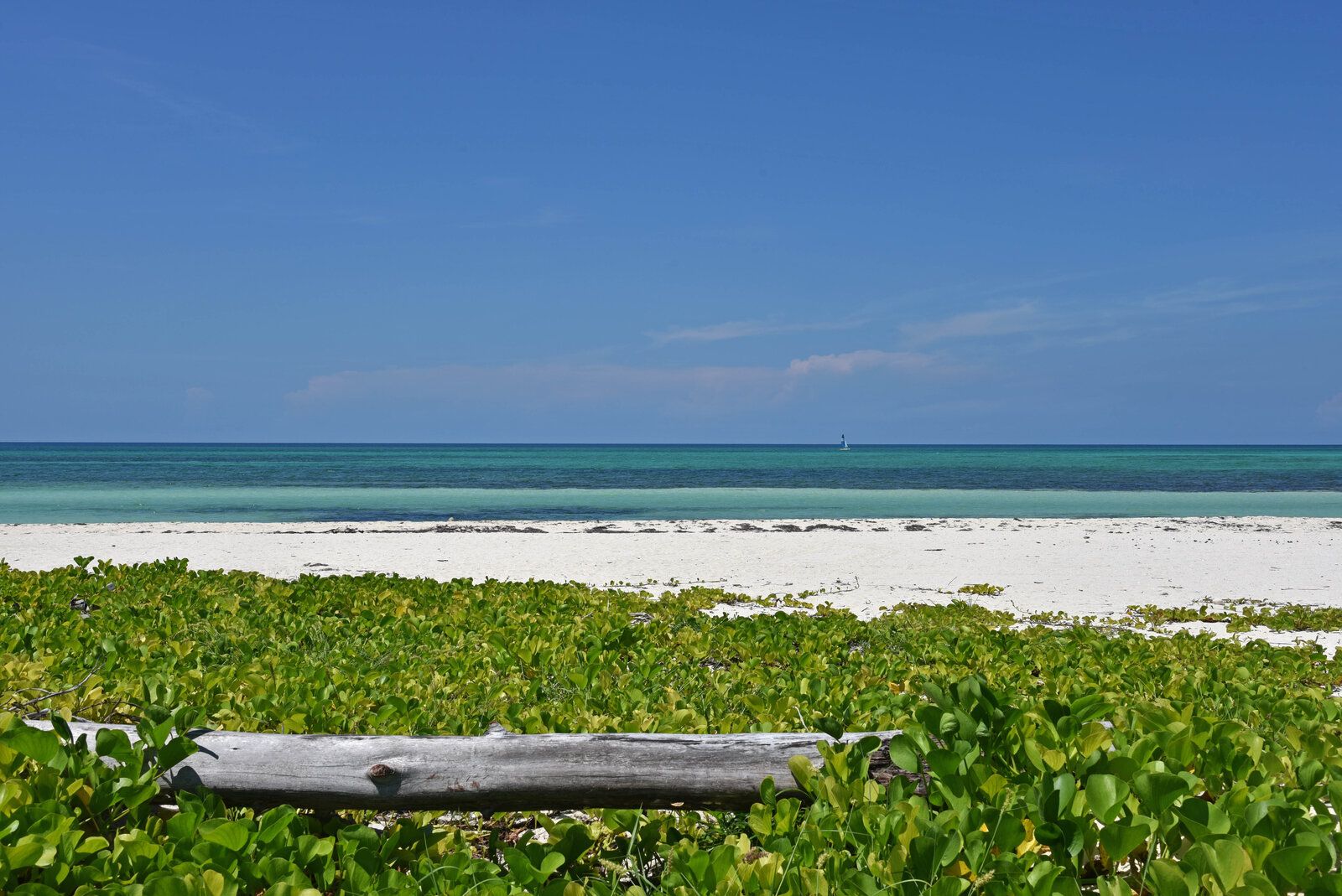 DSC_1247.jpg
