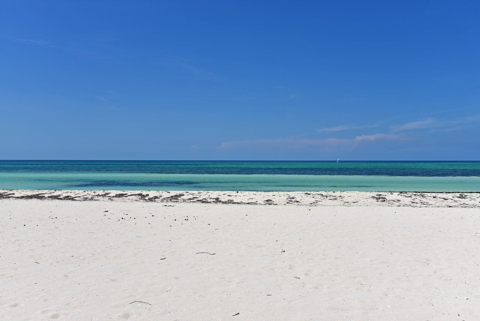 DSC_1252.jpg