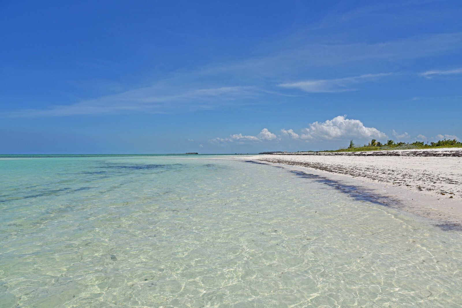 DSC_1255.jpg