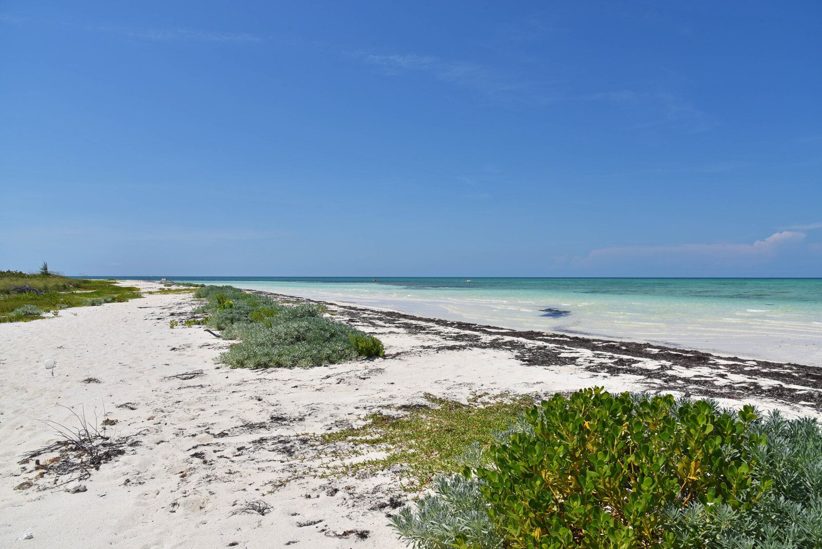 DSC_1296.jpg