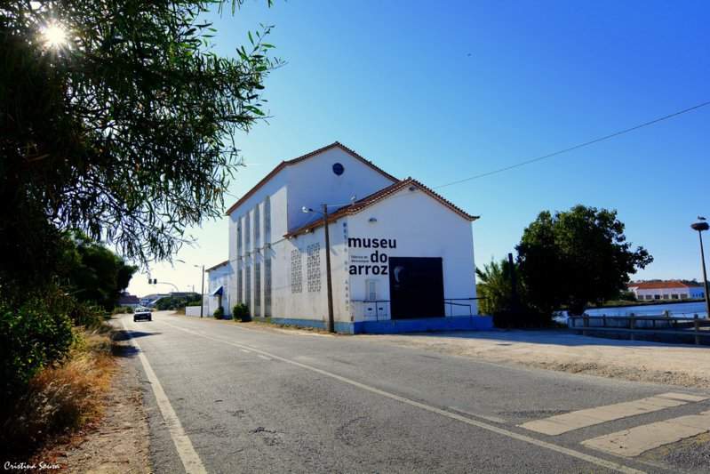 DSC_1452a (Copiar)