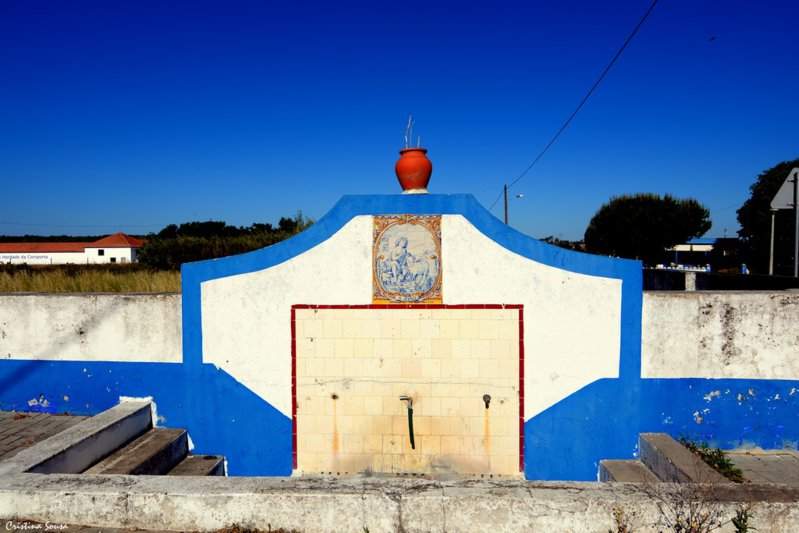 DSC_1465a (Copiar)