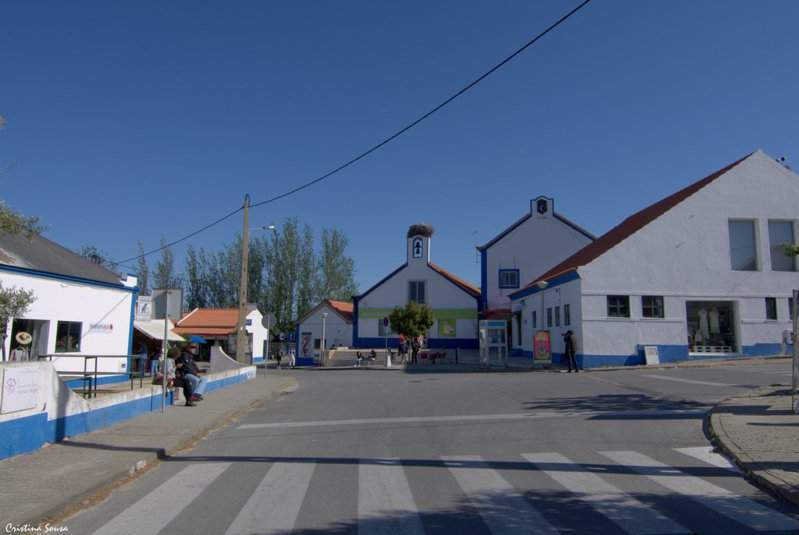 DSC_1469a (Copiar)
