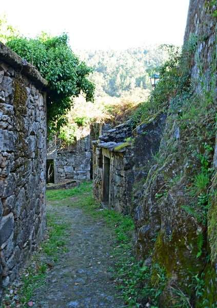 DSC_1633a (Copiar)