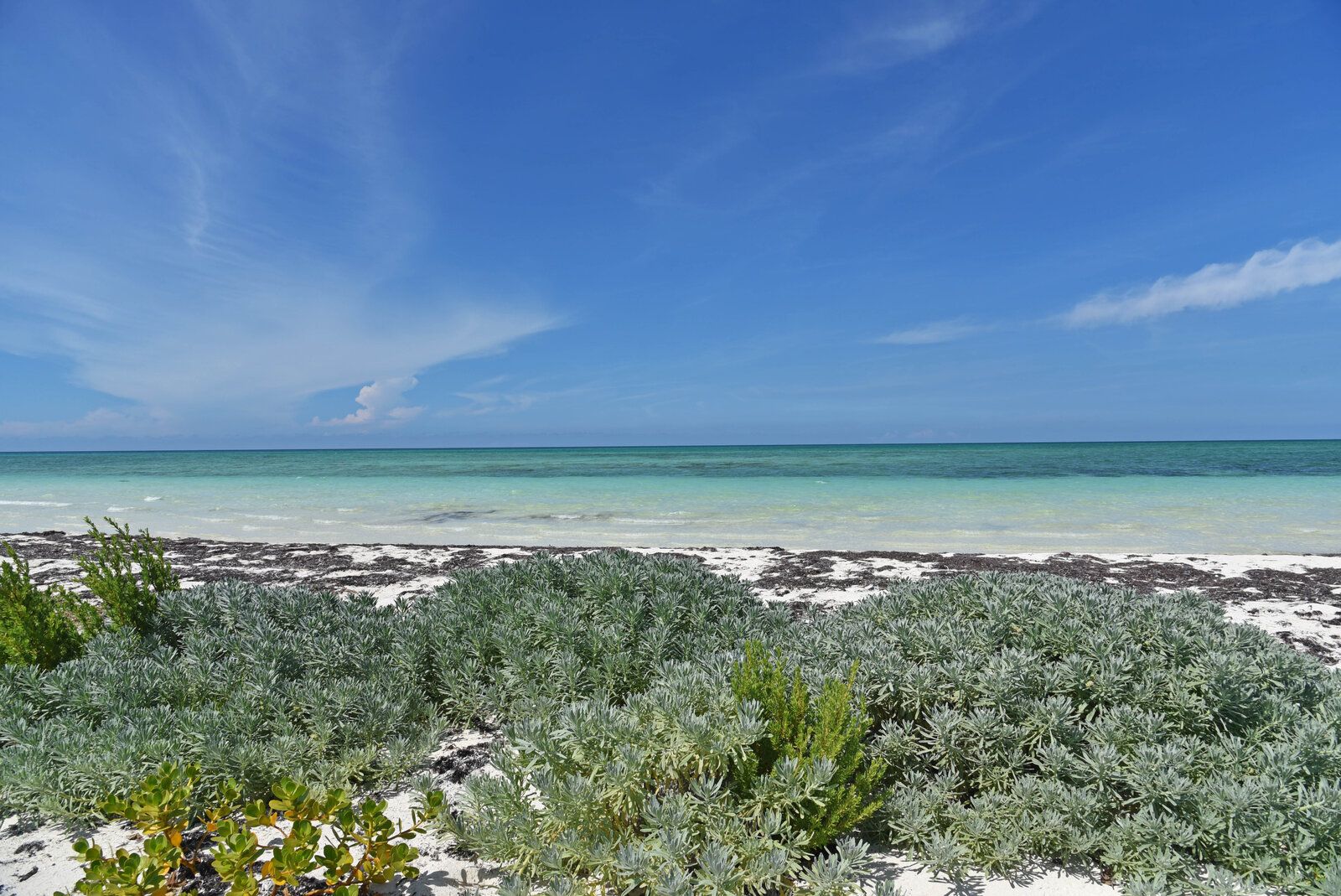 DSC_1644.jpg