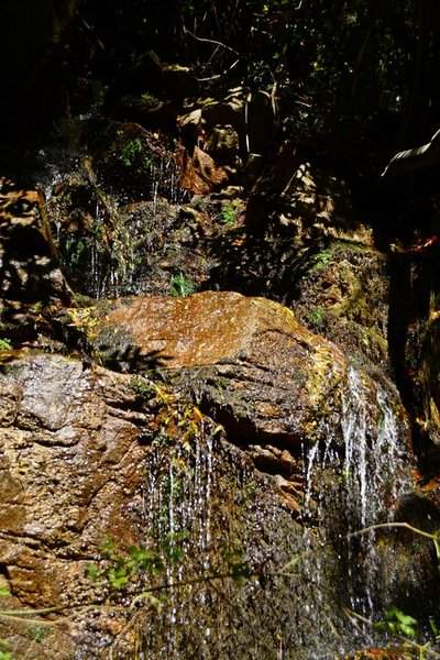 DSC_1769a (Copiar)