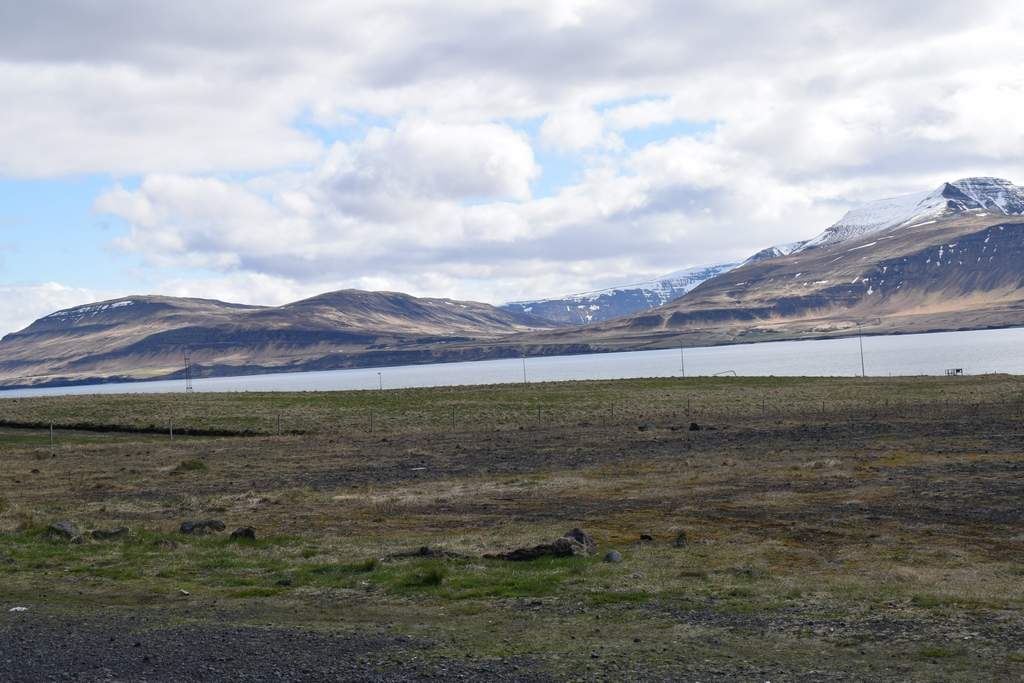 DSC_1789