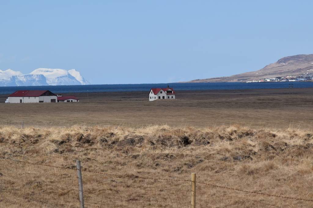 DSC_1854