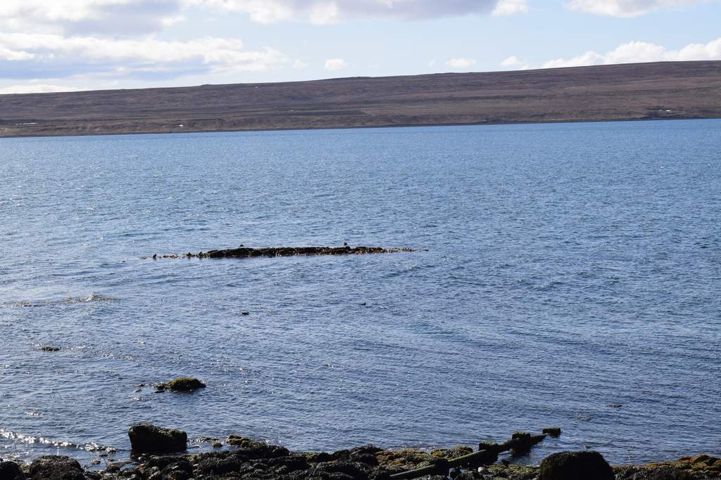 DSC_1857