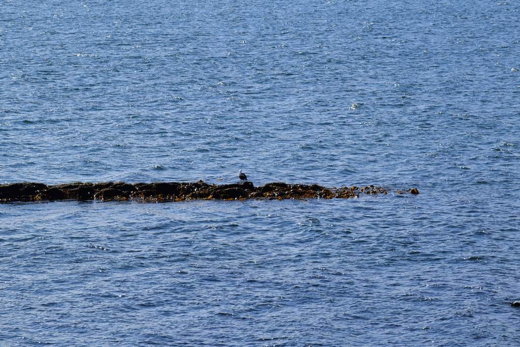 DSC_1862
