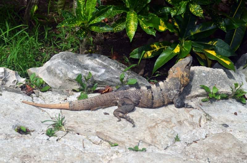 DSC_1876