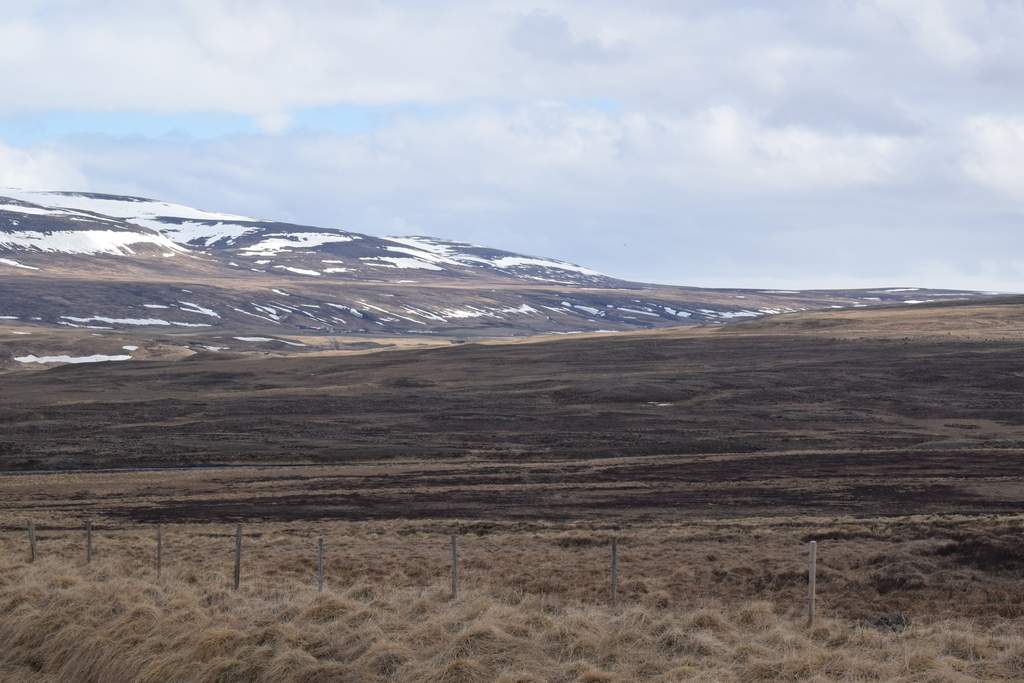 DSC_1877