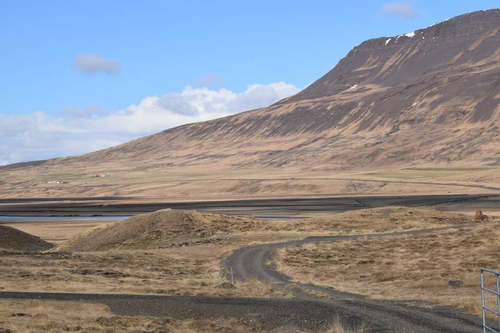 DSC_1909