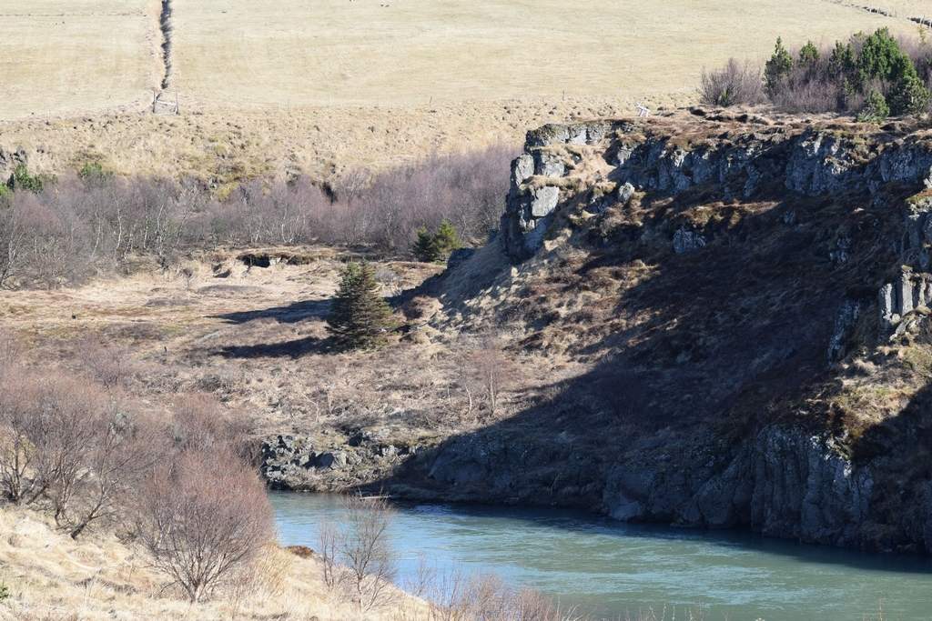 DSC_1921