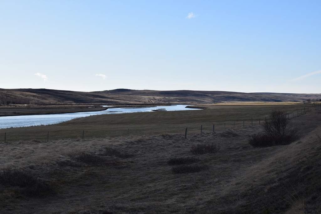DSC_1949