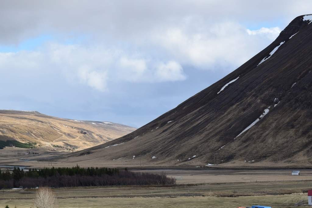 DSC_1961