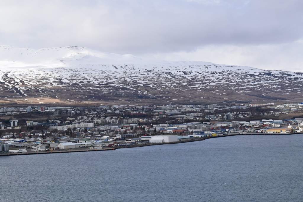 DSC_2104