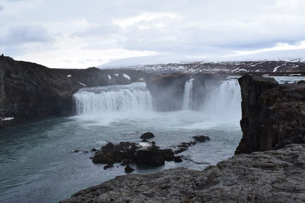 DSC_2138