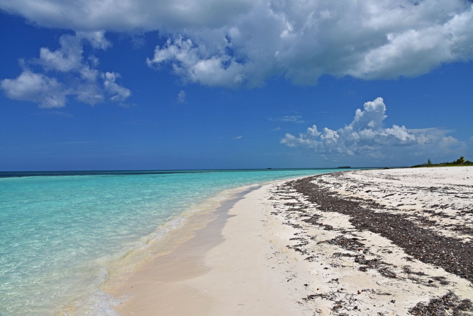 DSC_2154.jpg