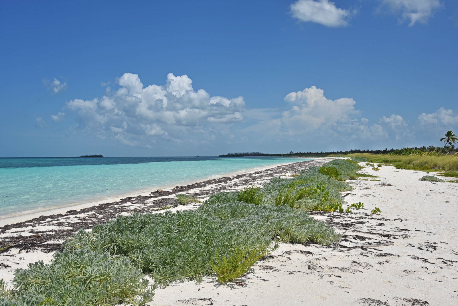 DSC_2218.jpg