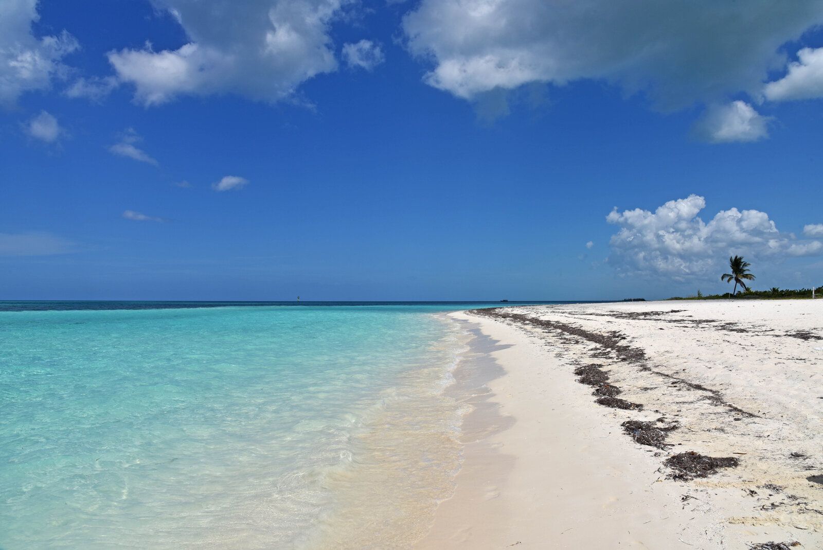 DSC_2231.jpg