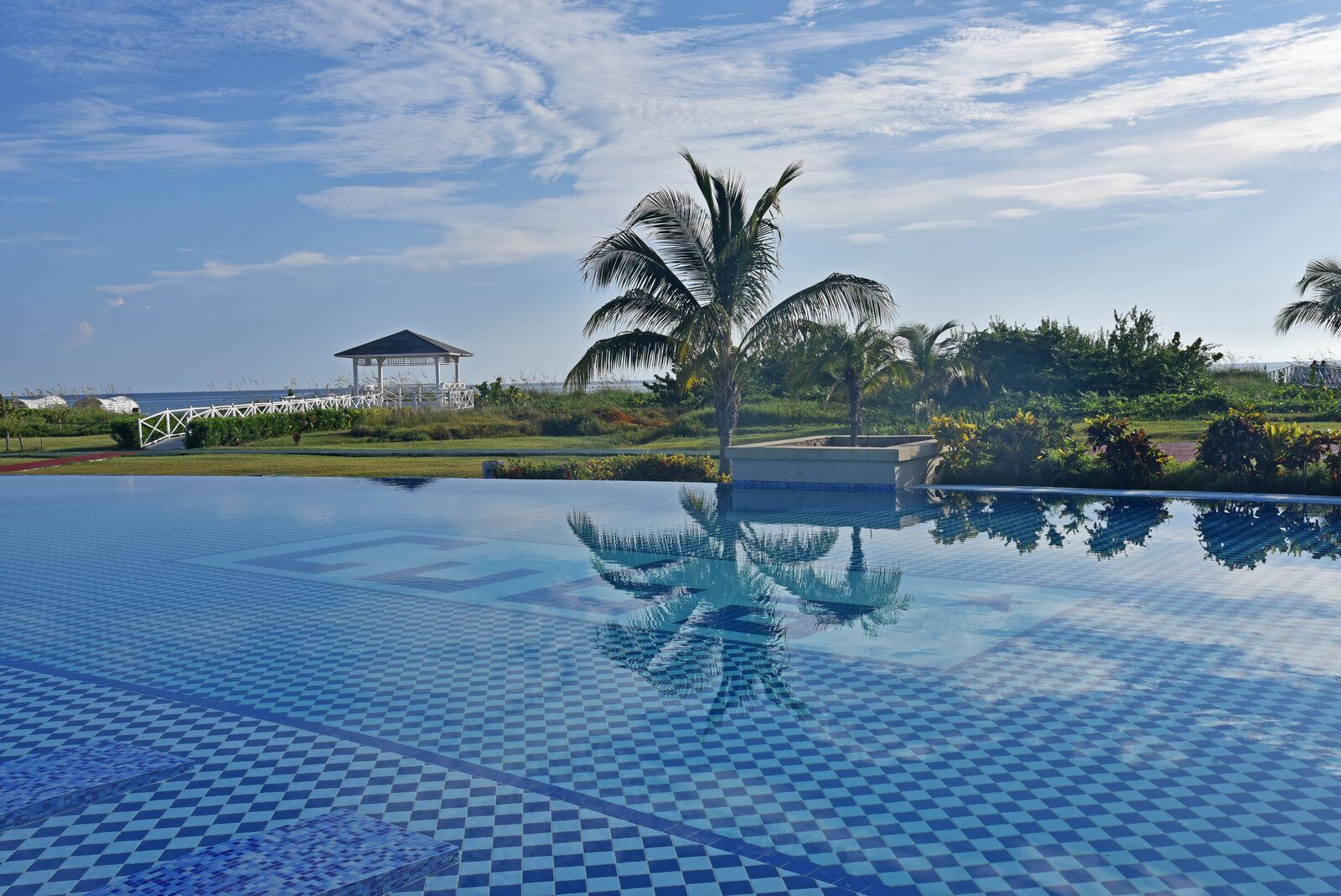 DSC_2314.jpg