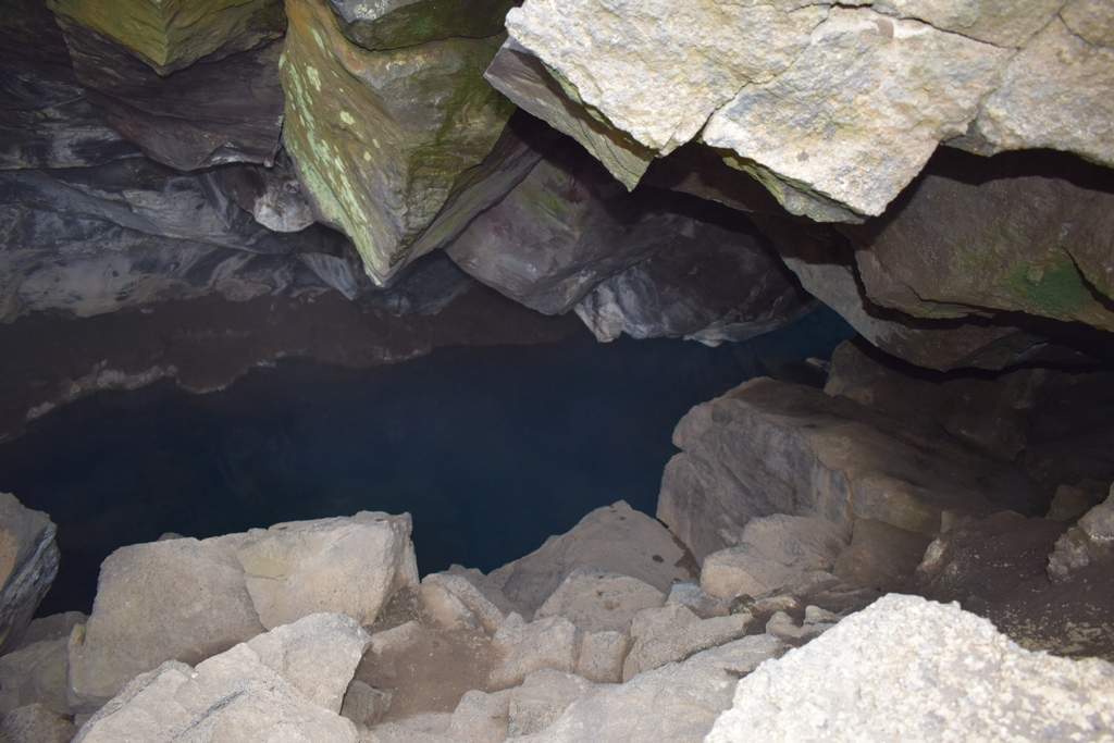 DSC_2406