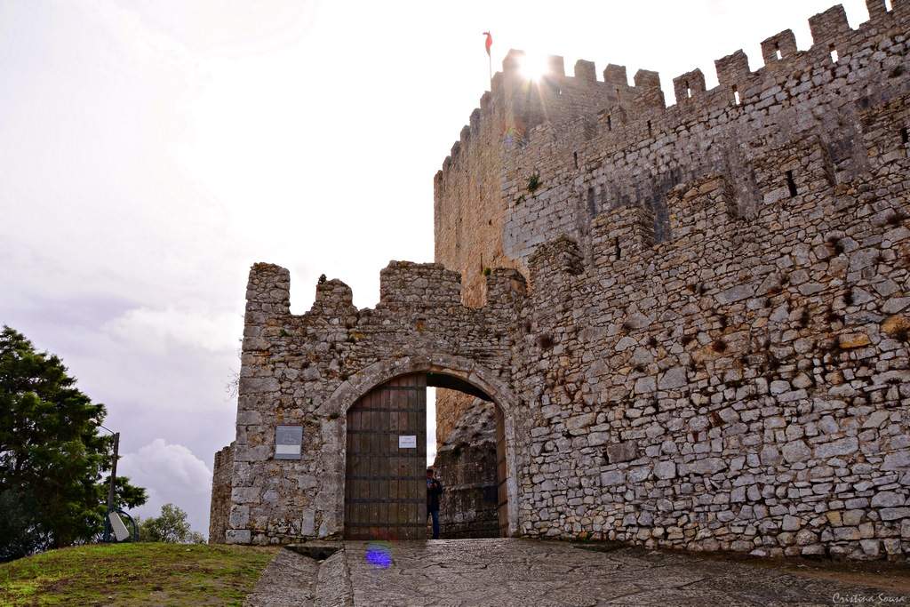 DSC_2434a (Copiar)