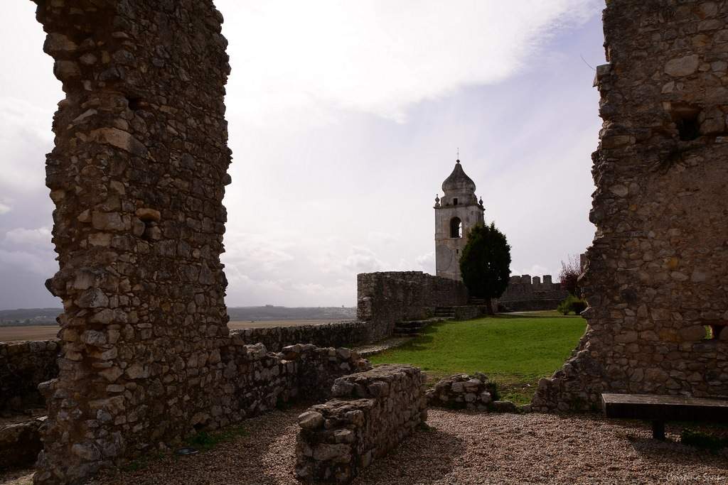 DSC_2443a (Copiar)