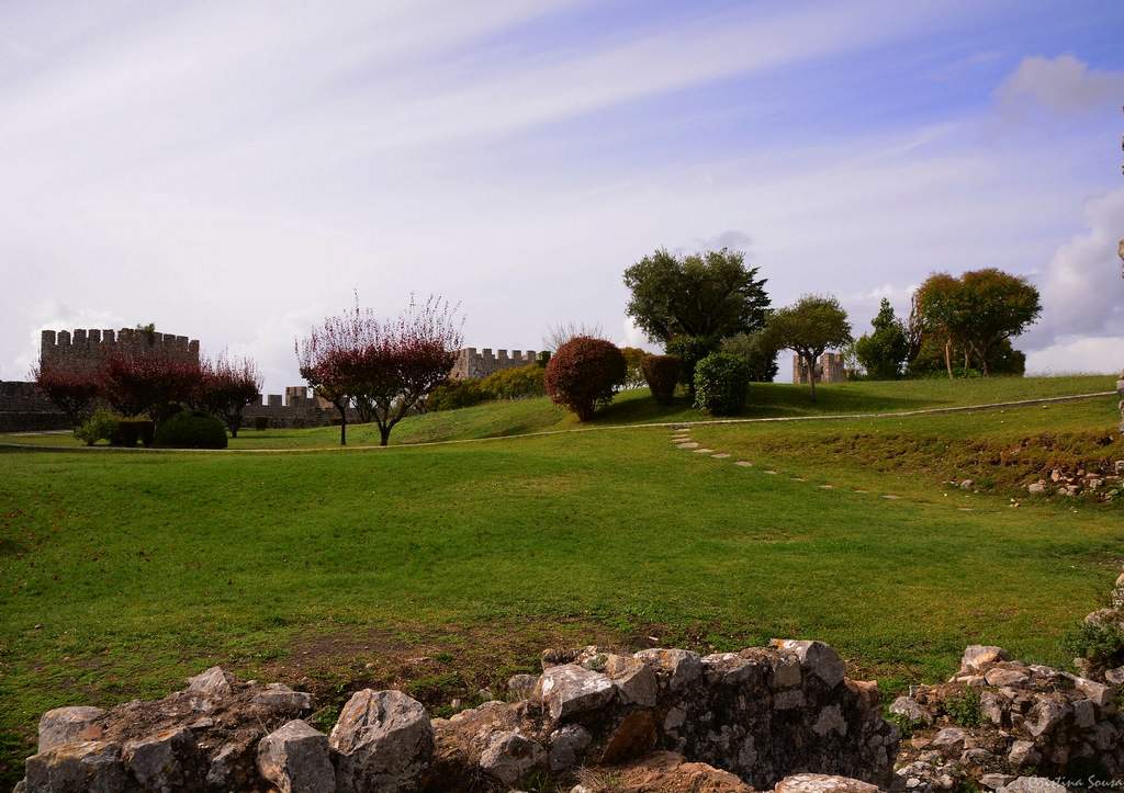 DSC_2446a (Copiar)
