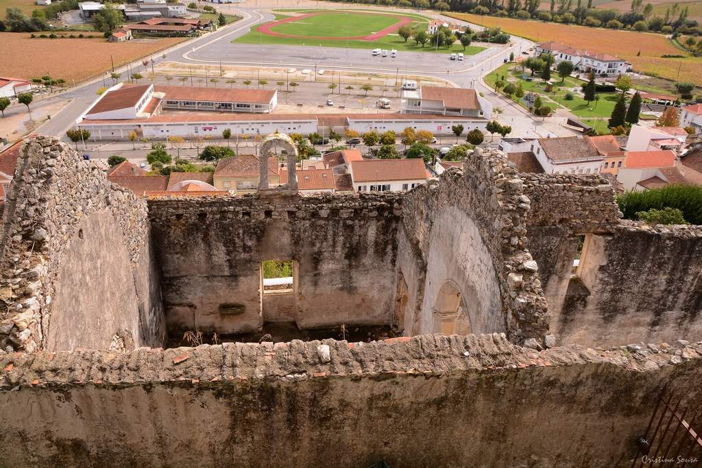 DSC_2452a (Copiar)