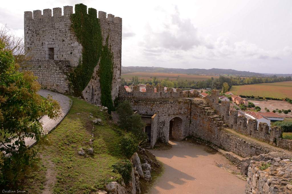 DSC_2469a (Copiar)