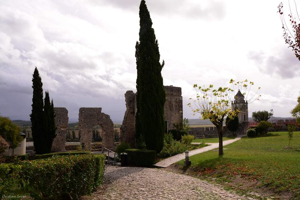DSC_2470a (Copiar)