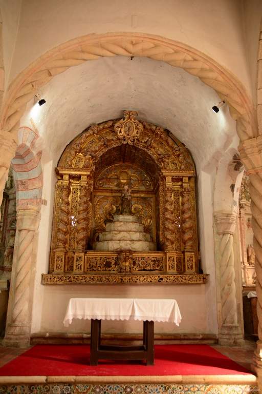 DSC_2476a (Copiar)