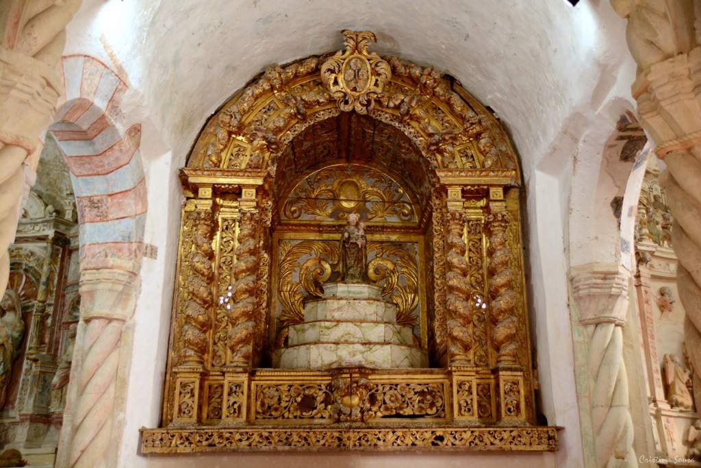 DSC_2480a (Copiar)