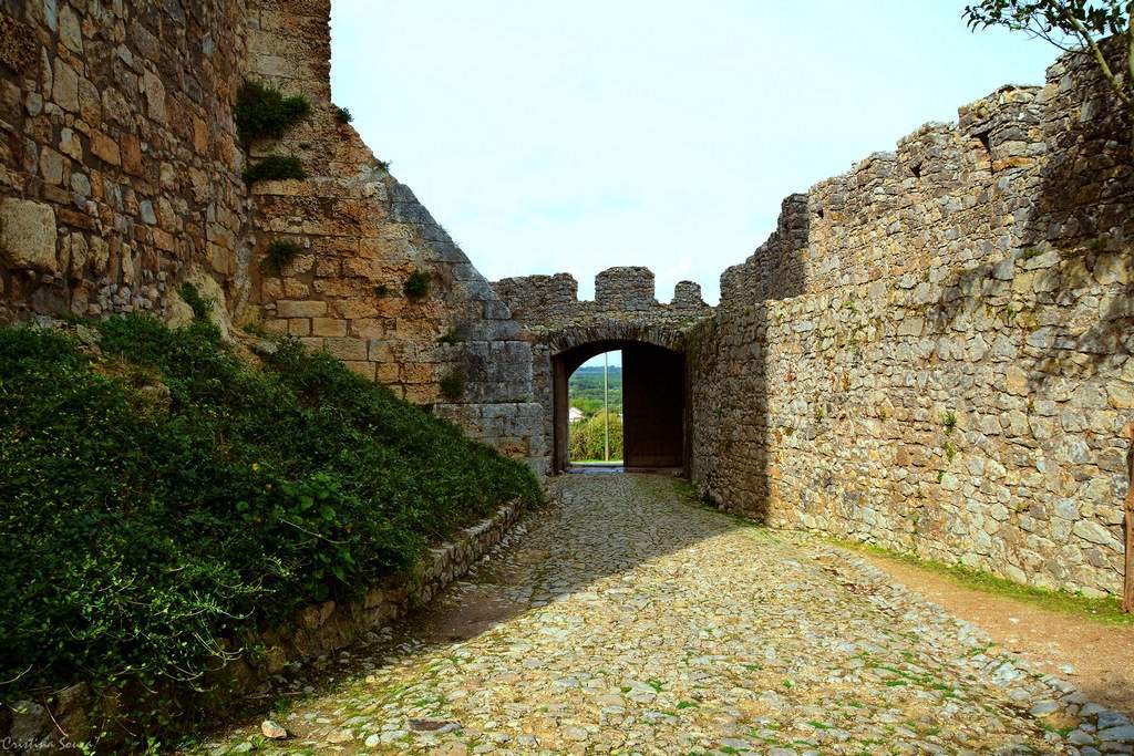 DSC_2490a (Copiar)