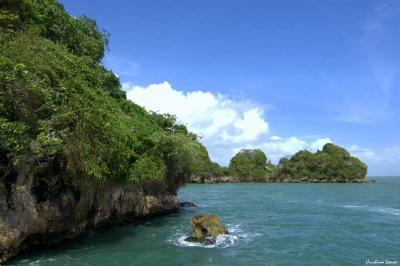 DSC_2661a (Copiar)