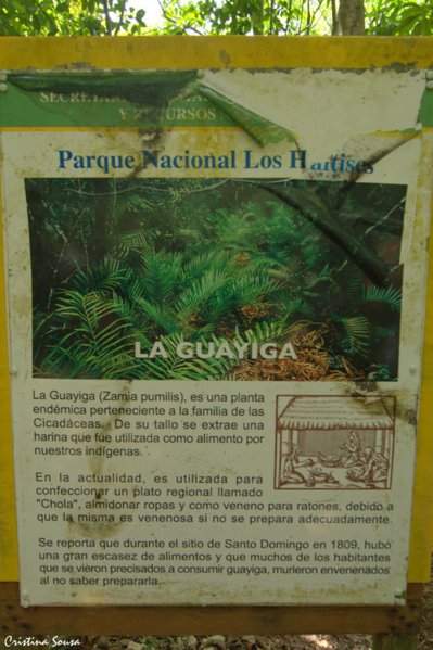 DSC_2723a (Copiar)