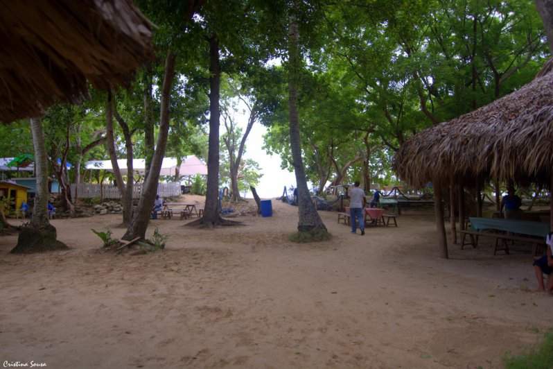 DSC_2850a (Copiar)
