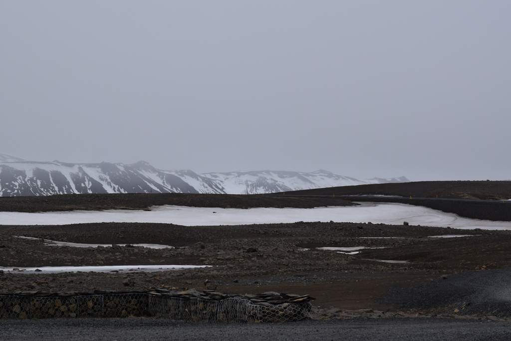 DSC_2860